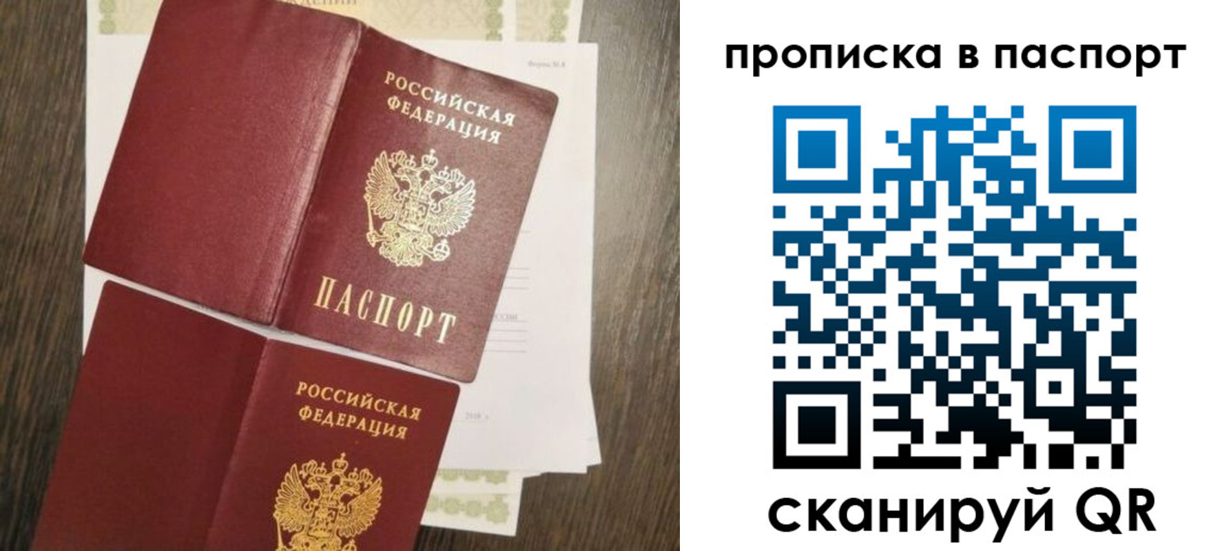 прописка гарантия в Камешково