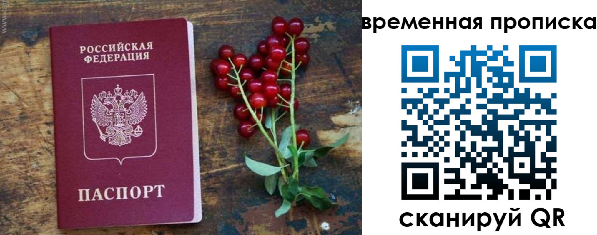 временная регистрация гарантия в Камешково